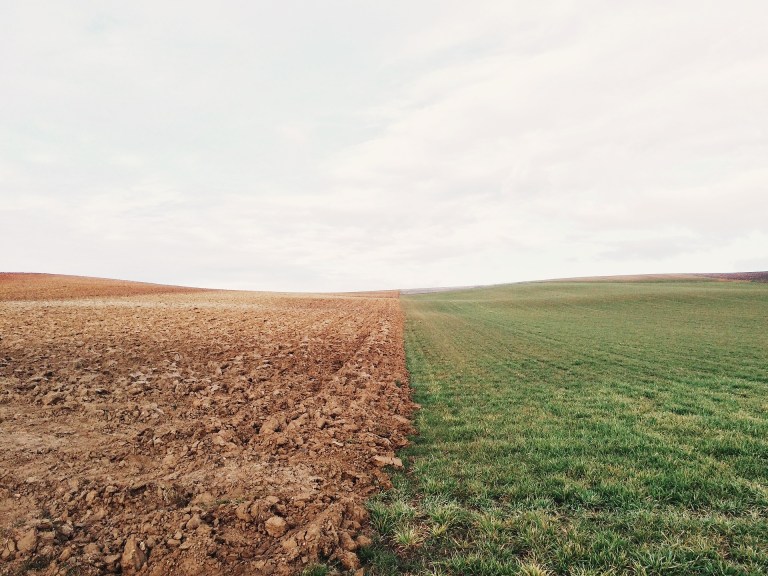 Farmland